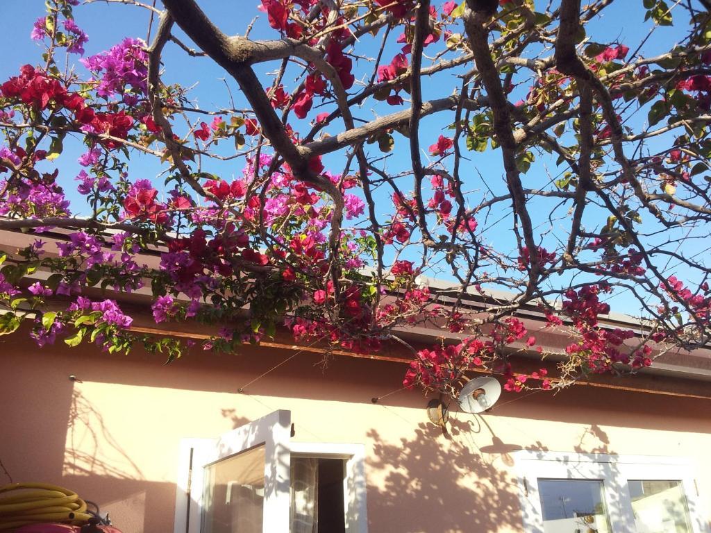 B&B L'Alberghetto Milazzo Exterior foto